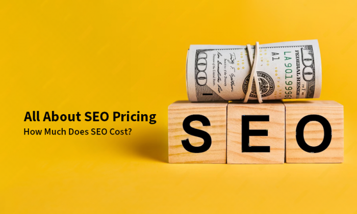 Affordable SEO pricing and plans for businesses seeking online growth.